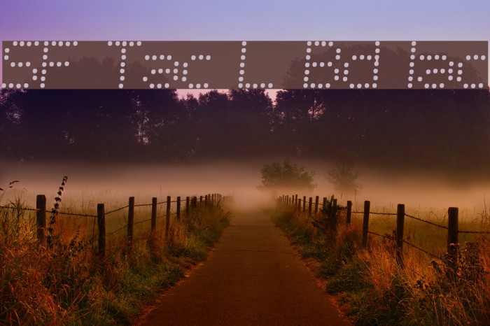 SF Telegraphic Light Bold Italic Font examples