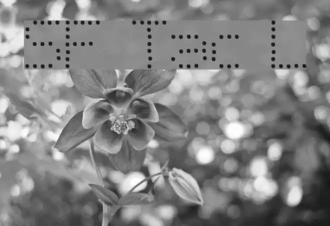 SF Telegraphic Light フォント examples