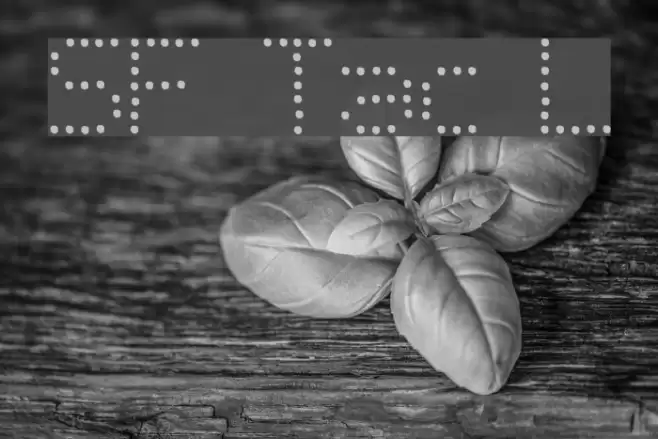 SF Telegraphic Light フォント examples