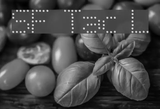 SF Telegraphic Light フォント examples