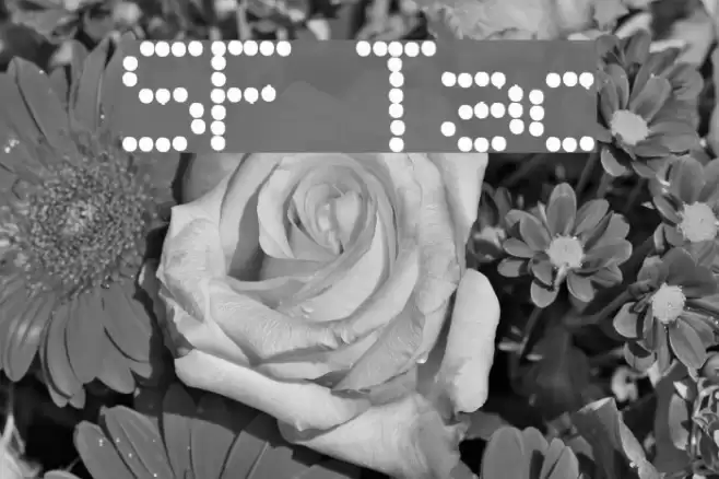 SF Telegraphic Font examples