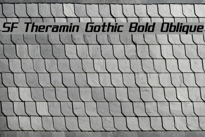 SF Theramin Gothic Bold Oblique Font examples