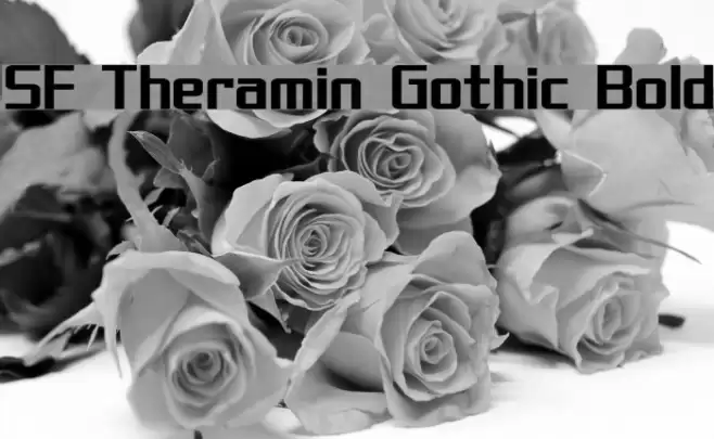 SF Theramin Gothic Bold Font examples