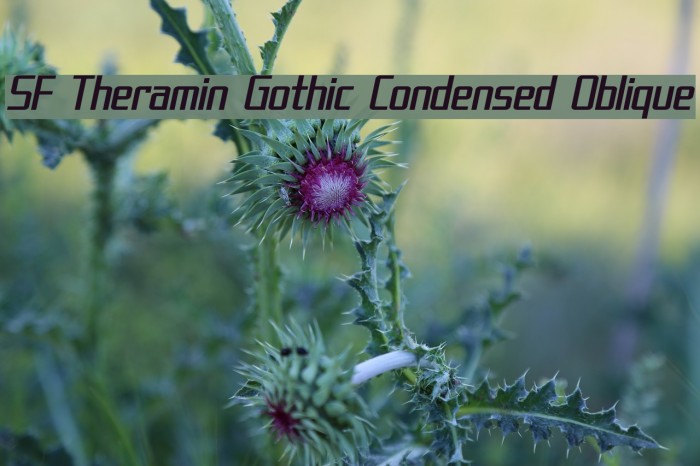 SF Theramin Gothic Condensed Oblique Font examples