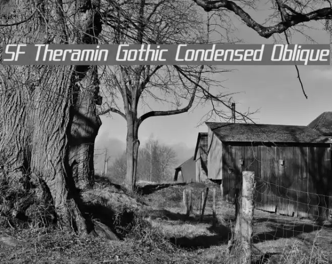 SF Theramin Gothic Condensed Oblique Font examples