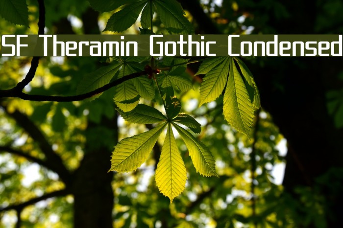 SF Theramin Gothic Condensed フォント examples
