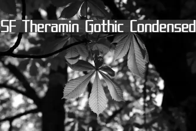 SF Theramin Gothic Condensed Font examples