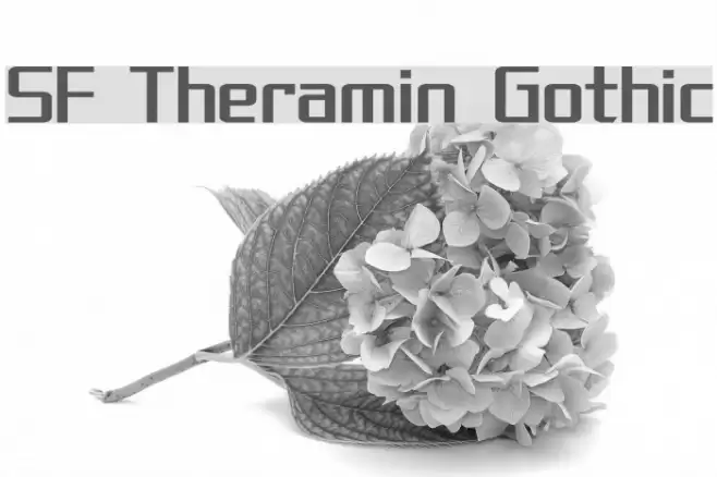 SF Theramin Gothic Font examples