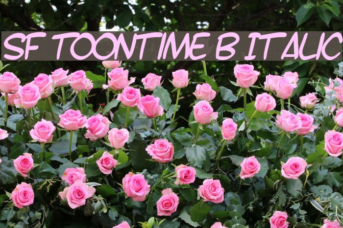 SF Toontime B Italic Font examples