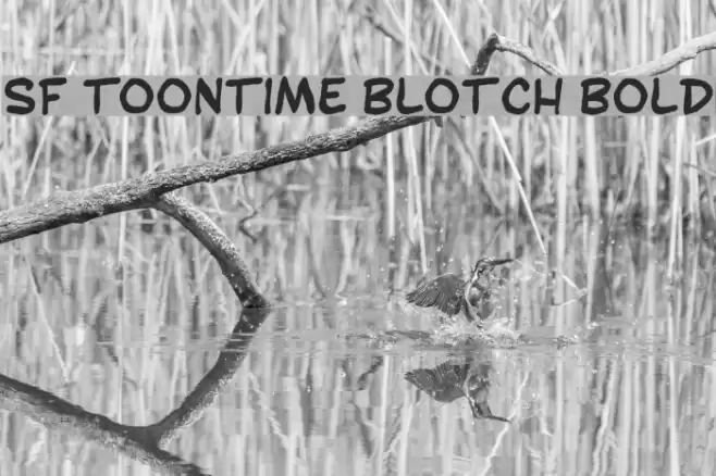 SF Toontime Blotch Bold Fonte examples