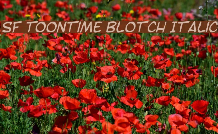 SF Toontime Blotch Italic Font examples