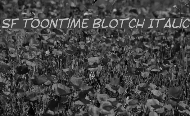 SF Toontime Blotch Italic フォント examples