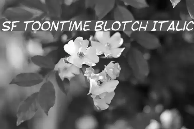 SF Toontime Blotch Italic フォント examples