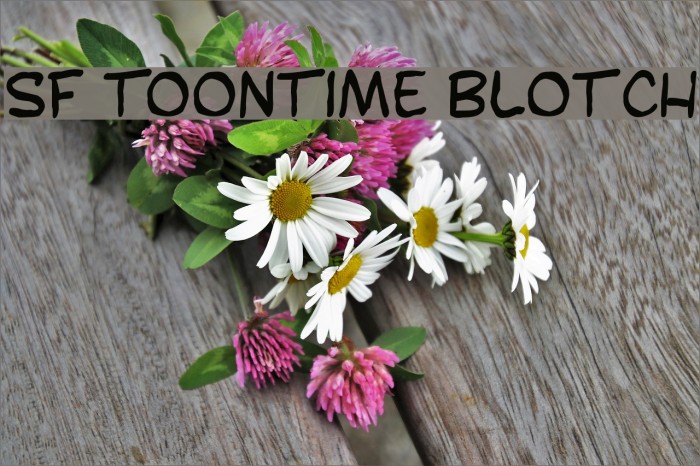 SF Toontime Blotch Font examples