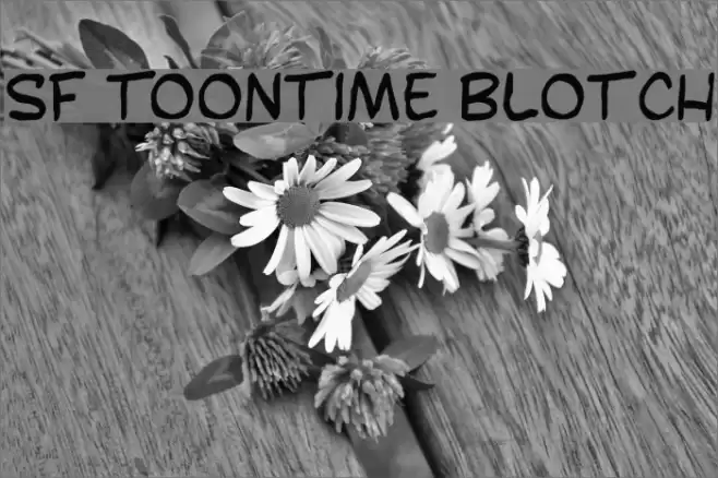 SF Toontime Blotch Шрифта examples