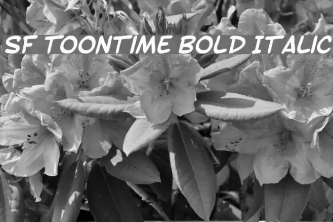SF Toontime Bold Italic Font examples