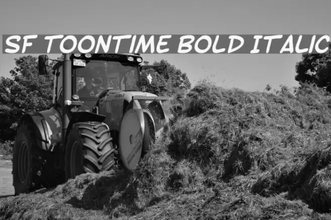SF Toontime Bold Italic Font examples