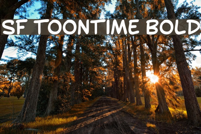 SF Toontime Bold Font examples