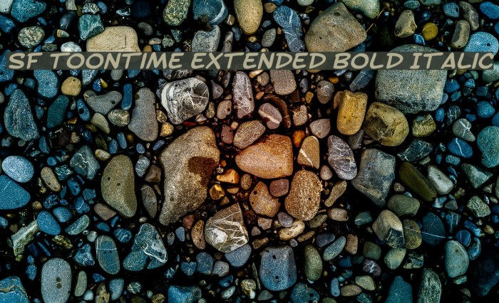 SF Toontime Extended Bold Italic Font examples