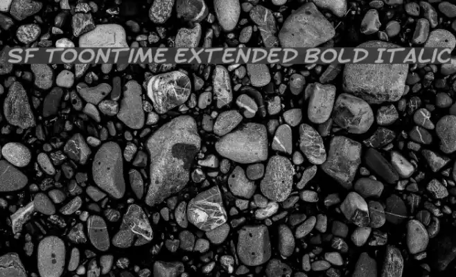 SF Toontime Extended Bold Italic Schriftart examples