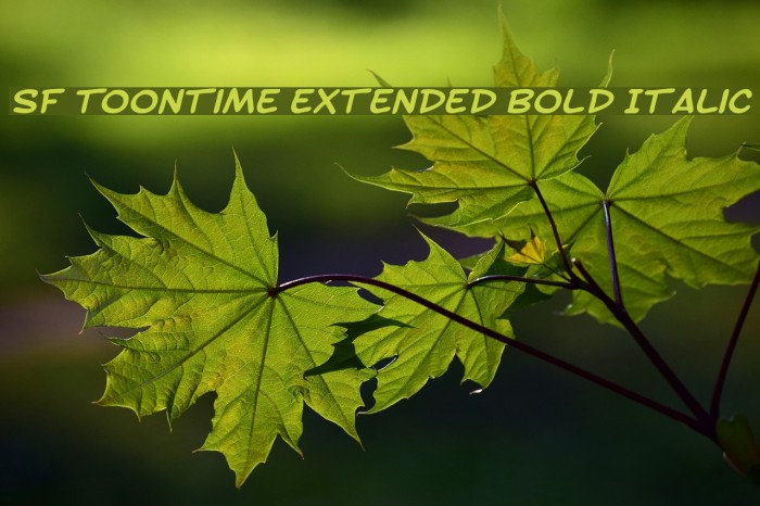 SF Toontime Extended Bold Italic Font examples