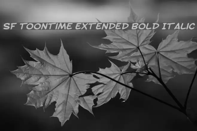 SF Toontime Extended Bold Italic Schriftart examples