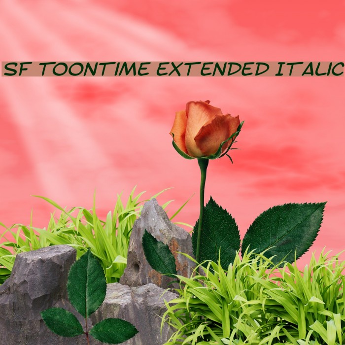 SF Toontime Extended Italic Font examples