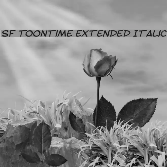 SF Toontime Extended Italic Font examples