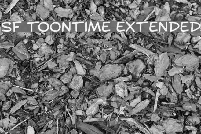 SF Toontime Extended Font examples