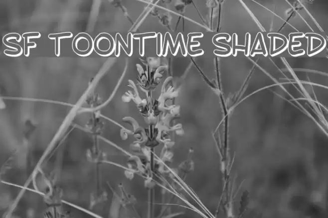 SF Toontime Shaded Шрифта examples