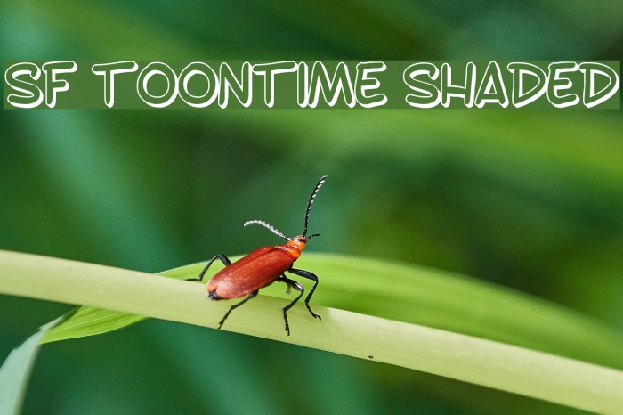 SF Toontime Shaded Font examples