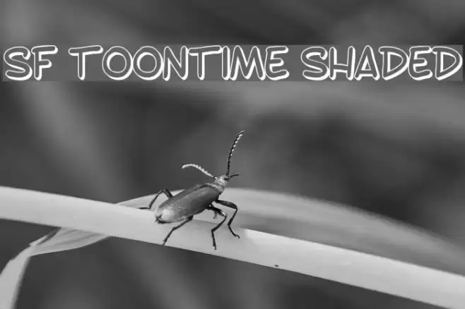 SF Toontime Shaded Шрифта examples