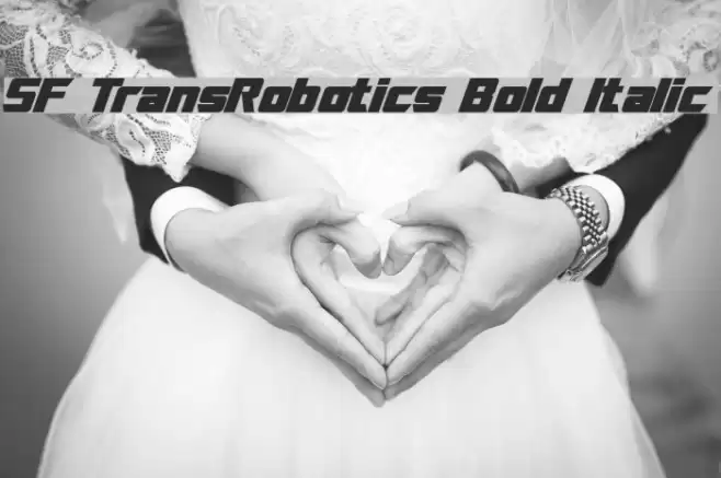 SF TransRobotics Bold Italic フォント examples