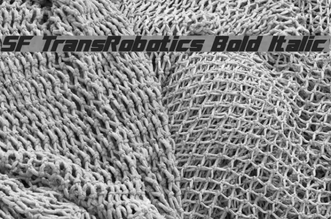 SF TransRobotics Bold Italic フォント examples