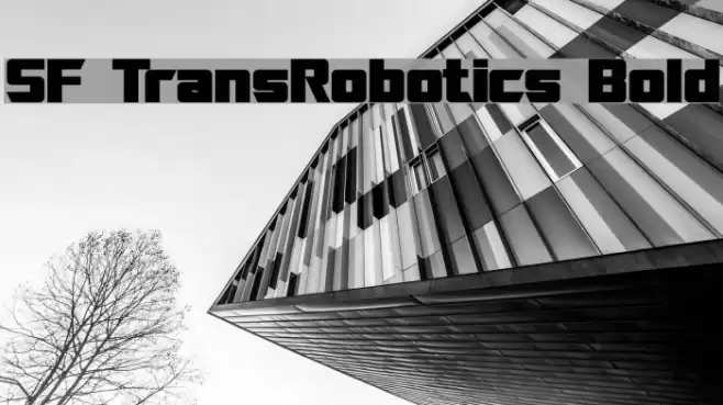 SF TransRobotics Bold خط examples