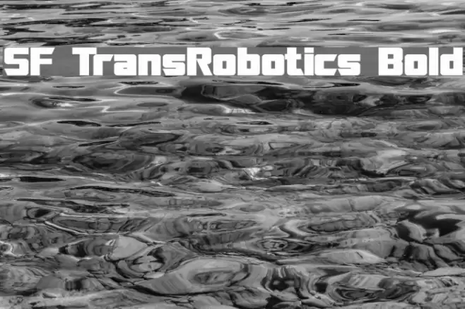 SF TransRobotics Bold خط examples