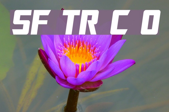 SF TransRobotics Condensed Oblique Font examples