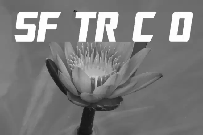 SF TransRobotics Condensed Oblique Font examples