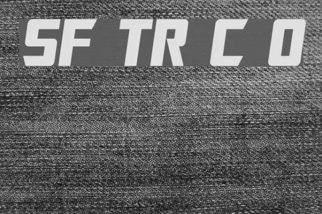 SF TransRobotics Condensed Oblique Font examples