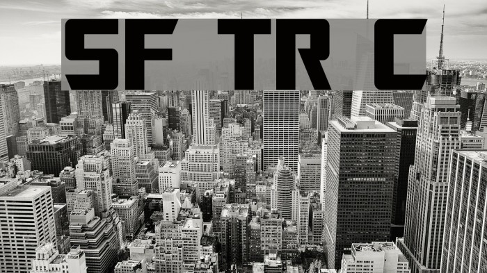 SF TransRobotics Condensed Example 1