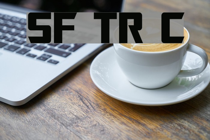 SF TransRobotics Condensed Example 2