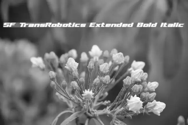 SF TransRobotics Extended Bold Italic Font examples