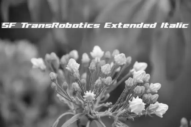 SF TransRobotics Extended Italic Font examples