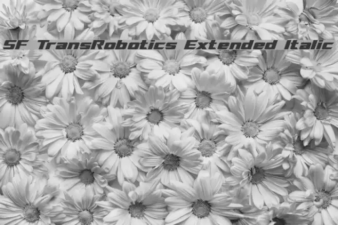 SF TransRobotics Extended Italic Font examples