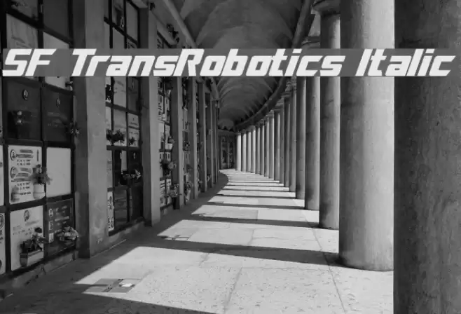 SF TransRobotics Italic Font examples