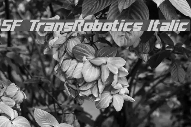 SF TransRobotics Italic Font examples