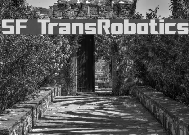 SF TransRobotics خط examples