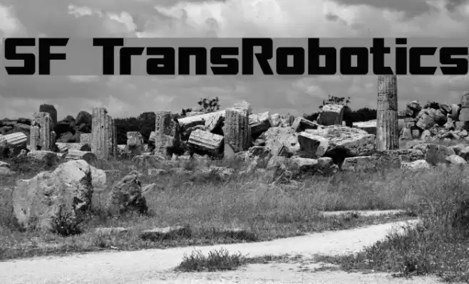 SF TransRobotics خط examples