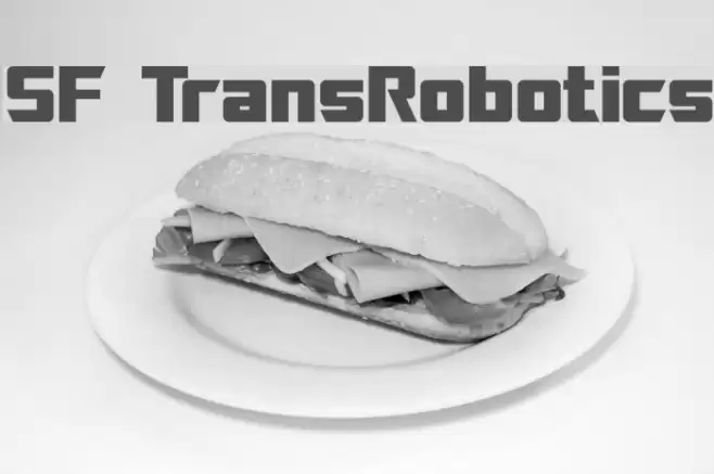 SF TransRobotics خط examples