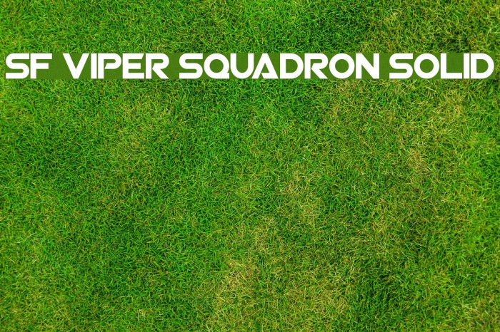 SF Viper Squadron Solid Font examples